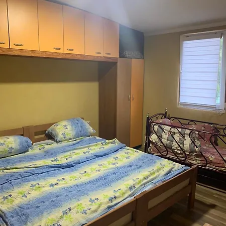 Appartement Niki Sokobanja