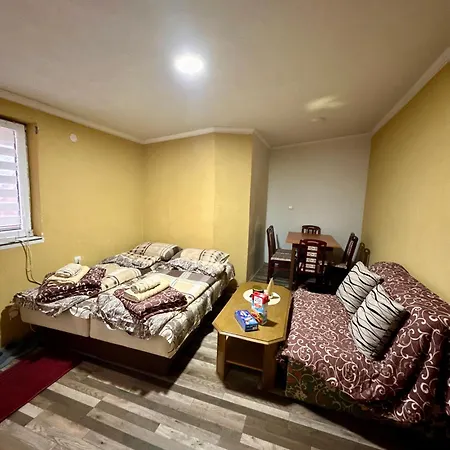 Appartement Niki Sokobanja